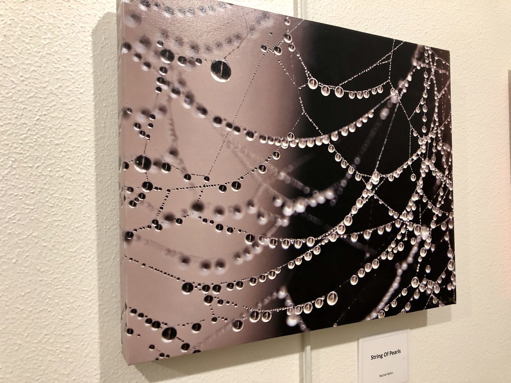 Creative Eye photography exhibit